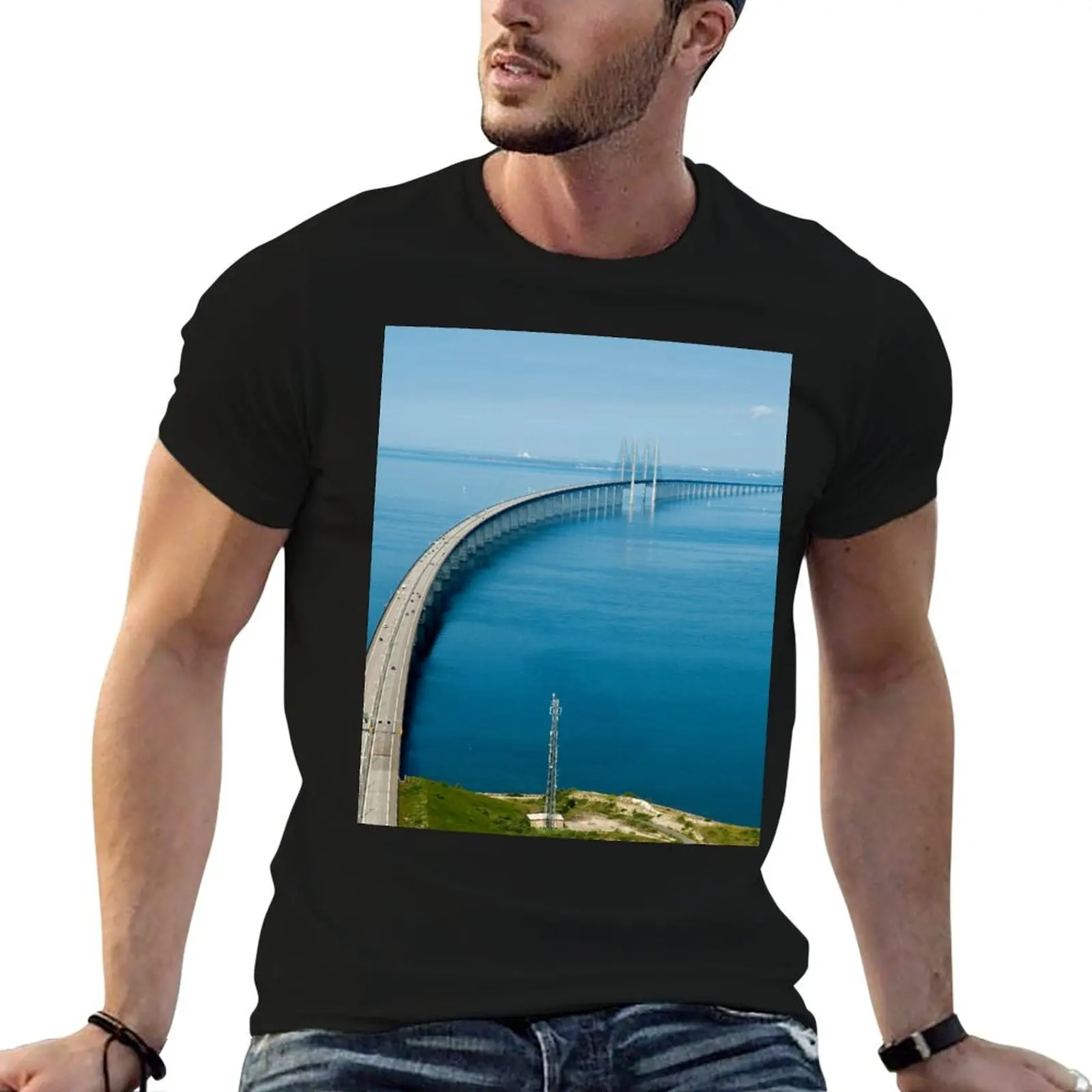 Oresund Bridge T-Shirt t shirts designer man t shirt cotton t shirts for man graphic funny T-Shirt
Oresund Bridge T-Shirt t shirts designer man t shirt cotton t shirts for man graphic funny T-Shirt