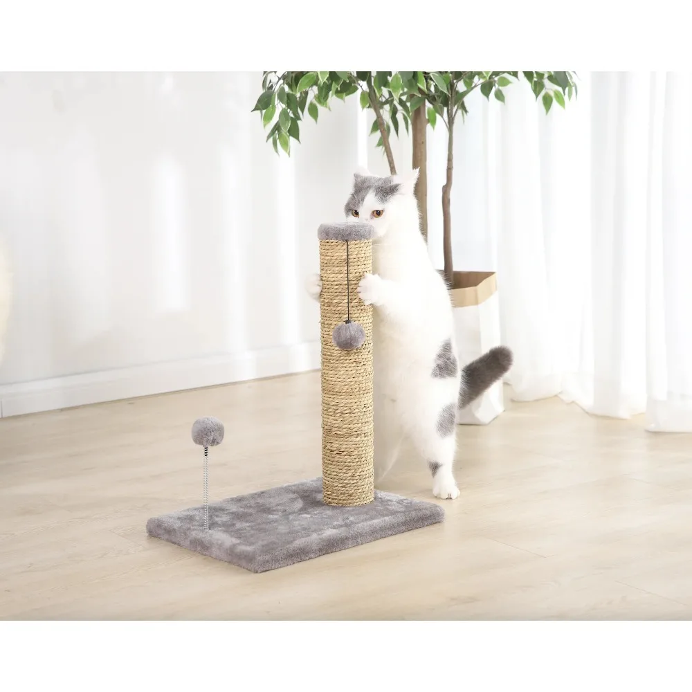 Small Seagrass Scratch and Play Post, Gray, 20", Light and easy to move around your home, Easy assembly
Small Seagrass Scratch and Play Post, Gray, 20", Light and easy to move around your home, Easy assembly