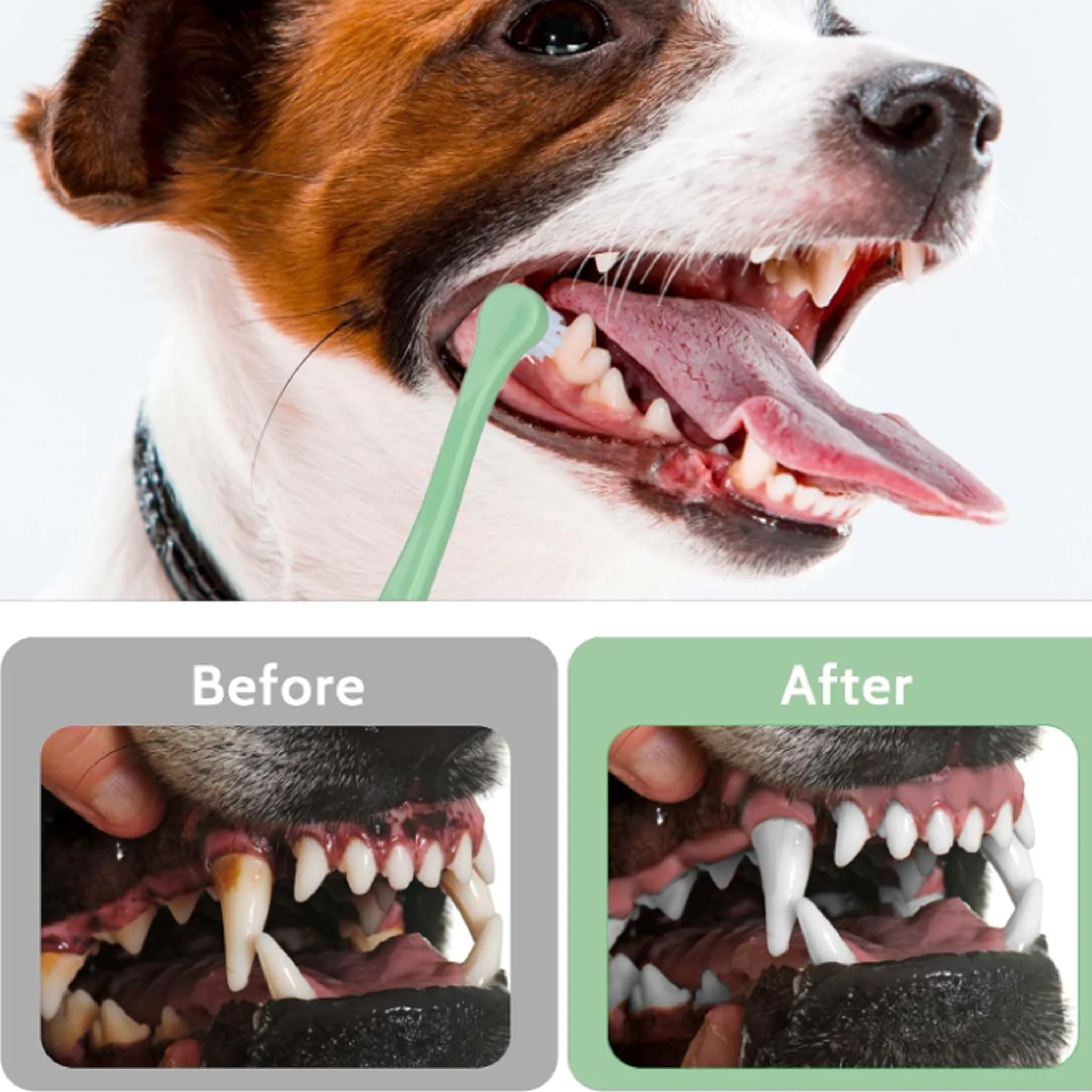 Pet Toothbrush for Cats Dogs Soft Small Head Teeth Cleaning Brush for Puppy Kitten Dental Care Dog Toothbrush
Pet Toothbrush for Cats Dogs Soft Small Head Teeth Cleaning Brush for Puppy Kitten Dental Care Dog Toothbrush