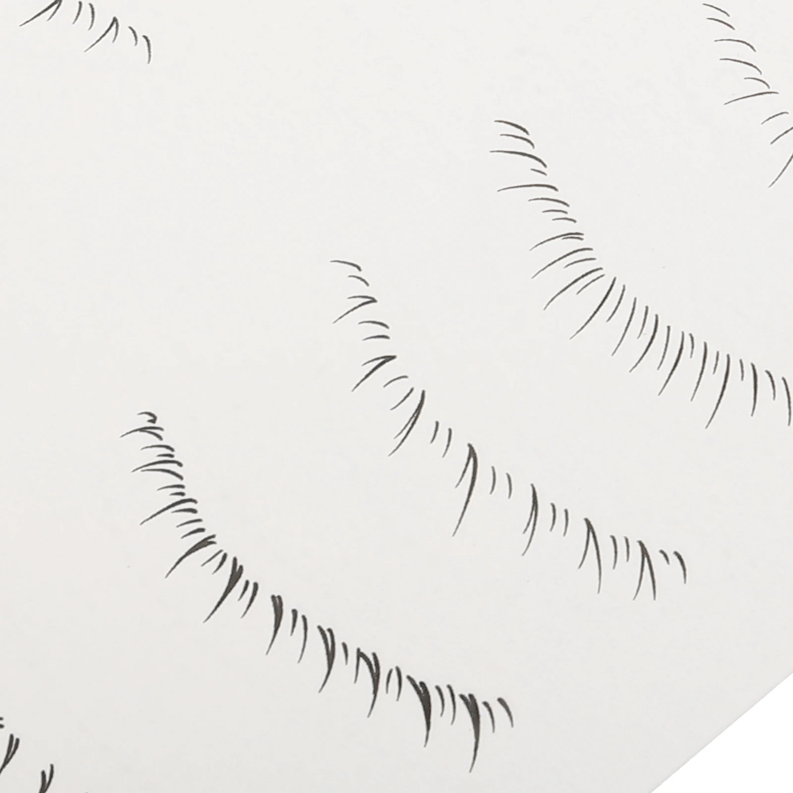 5pcs Simulated Eyelash Stickers Waterproof False Lashes for Women Bottom Lash Extension Tattoos Easy Eye Makeup
5pcs Simulated Eyelash Stickers Waterproof False Lashes for Women Bottom Lash Extension Tattoos Easy Eye Makeup