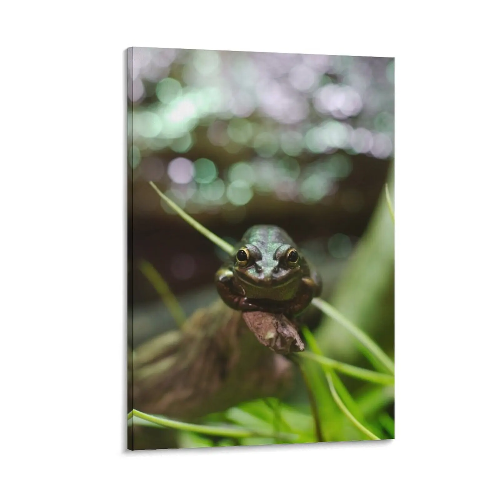 Patient frog Canvas Painting decorative picture for living room room decorations Decoration home
Patient frog Canvas Painting decorative picture for living room room decorations Decoration home