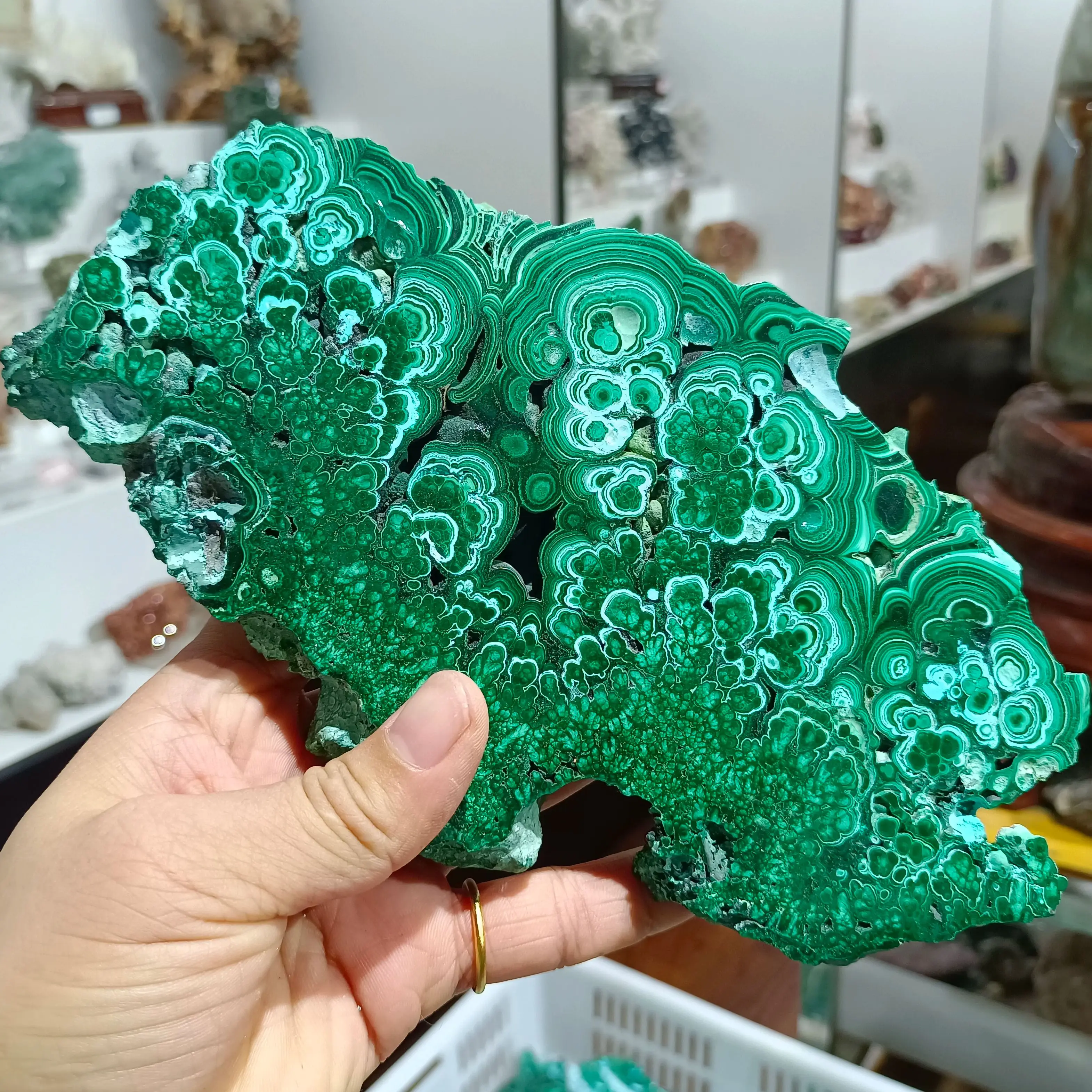 Unique Natural GUI Malachite Original Slice, Quartz Crystal Mineral Reiki Treatment Wealth Gem, Home Office Degaussing Adorn
Unique Natural GUI Malachite Original Slice, Quartz Crystal Mineral Reiki Treatment Wealth Gem, Home Office Degaussing Adorn