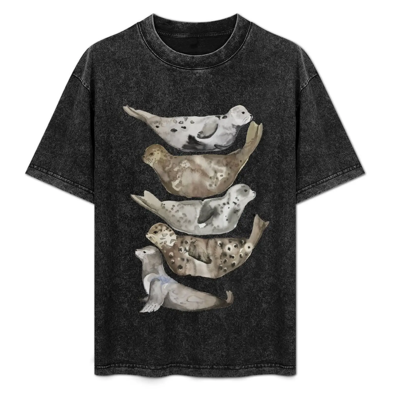 Seals of La Jolla T-Shirt Big Size Daily Wear T-Shirt
Seals of La Jolla T-Shirt Big Size Daily Wear T-Shirt