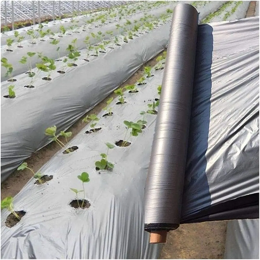 WGD Dimo 50m/lot Silvery Black Planting ilm, Width 0.6m~2m Thickn0.012mm Garden Greenhouse Relective Weed Control Mulch, Orchard
WGD Dimo 50m/lot Silvery Black Planting ilm, Width 0.6m~2m Thickn0.012mm Garden Greenhouse Relective Weed Control Mulch, Orchard