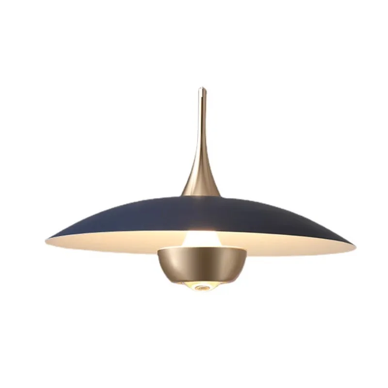 Minimalist restaurant lift chandelier Nordic bar creative art bedside retractable chandelier
Minimalist restaurant lift chandelier Nordic bar creative art bedside retractable chandelier