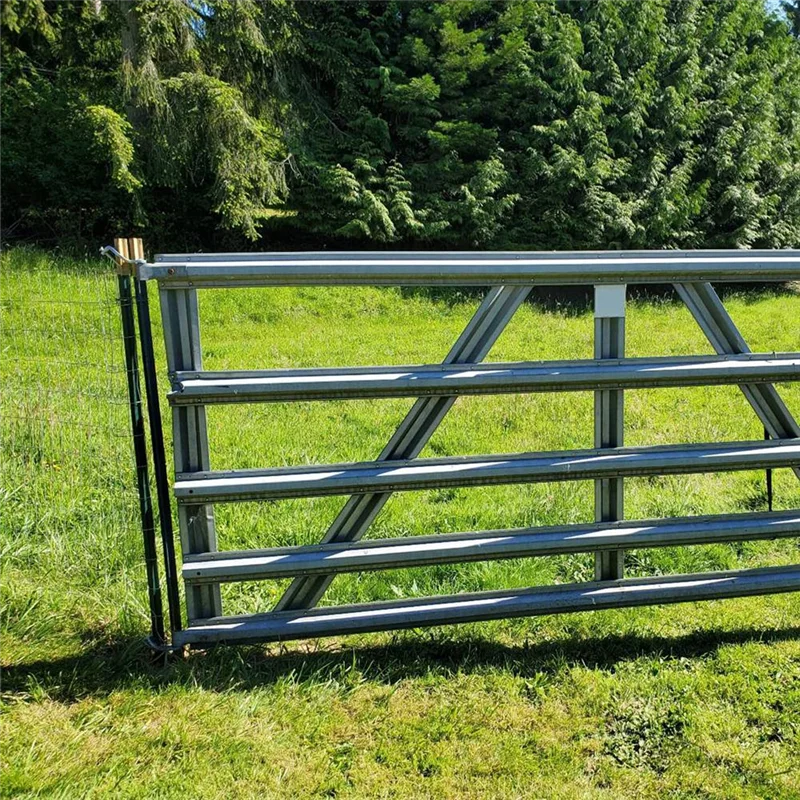 T Post Gate Hinge Pins Heavy Duty Gate Hanger For Farm Gate, Garden Backyard Gateabkw
T Post Gate Hinge Pins Heavy Duty Gate Hanger For Farm Gate, Garden Backyard Gateabkw