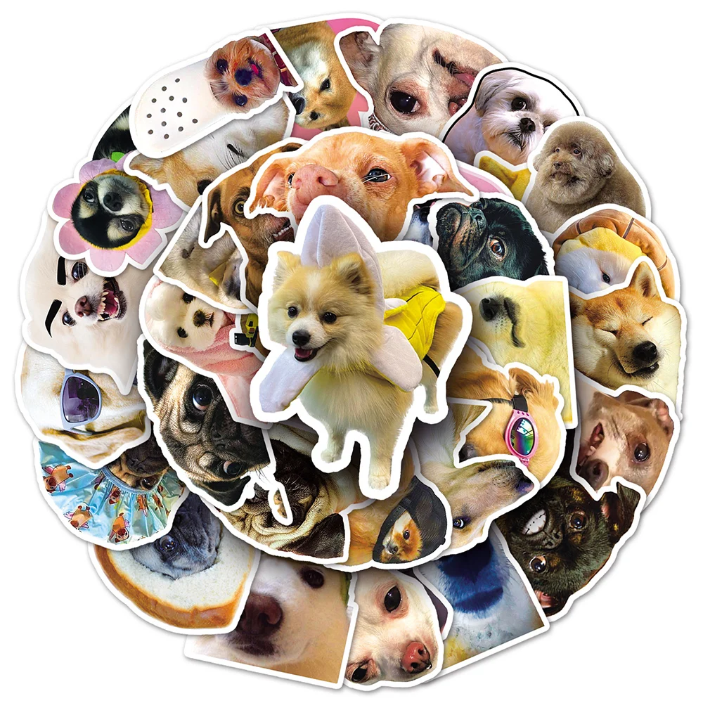 10/30/50pcs Funny Creative Dog Meme Stickers Cute Animals Graffiti Sticker Waterproof DIY Luggage Notebook Phone Decals Toy Gift
10/30/50pcs Funny Creative Dog Meme Stickers Cute Animals Graffiti Sticker Waterproof DIY Luggage Notebook Phone Decals Toy Gift