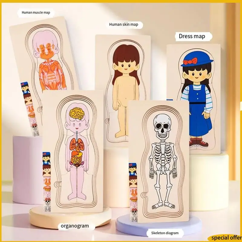 A61I Wooden Human Body Structure Puzzle Children's Multi-Layer Plane Puzzle Early Childhood Education Toys
A61I Wooden Human Body Structure Puzzle Children's Multi-Layer Plane Puzzle Early Childhood Education Toys