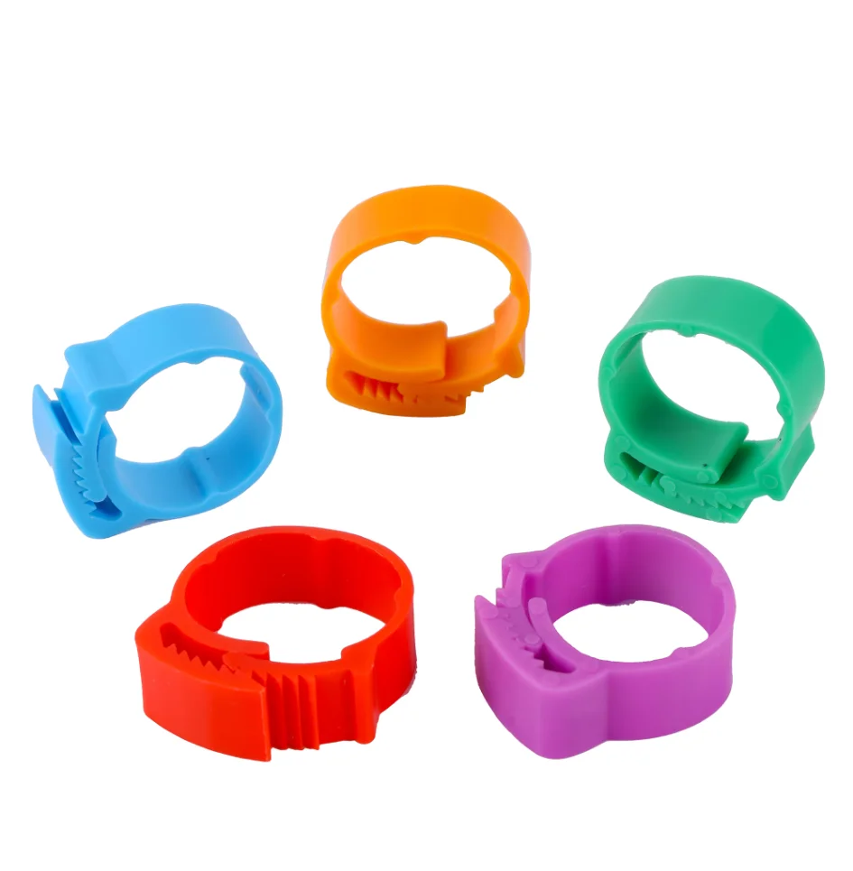 50/100Pcs 20~24mm Chicken Foot Rings Adjustable Poultry Leg Snap Ratchet No Number Buckle Clip Chick Duck Goose Pigeon Raising
50/100Pcs 20~24mm Chicken Foot Rings Adjustable Poultry Leg Snap Ratchet No Number Buckle Clip Chick Duck Goose Pigeon Raising