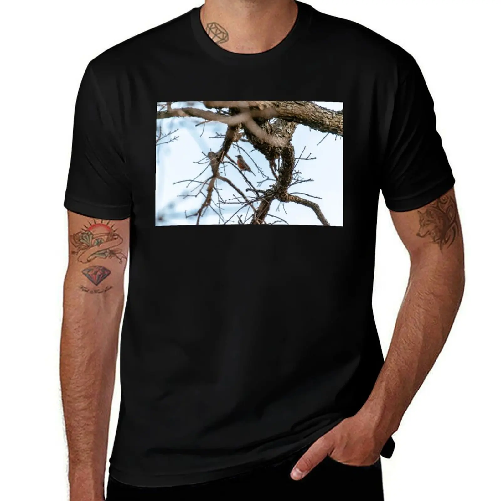 Robin’s Rest T-Shirt plus size tops Funny t-shirt cheap stuff oversized t shirt mens designer clothes
Robin’s Rest T-Shirt plus size tops Funny t-shirt cheap stuff oversized t shirt mens designer clothes