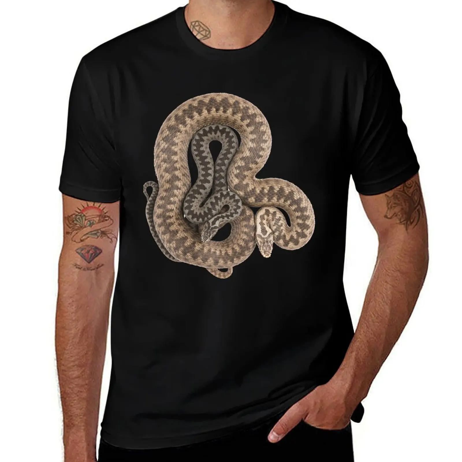 Vipera berus, male and female (European adder) T-Shirt funny costumes man t shirt mens designer t shirt
Vipera berus, male and female (European adder) T-Shirt funny costumes man t shirt mens designer t shirt
