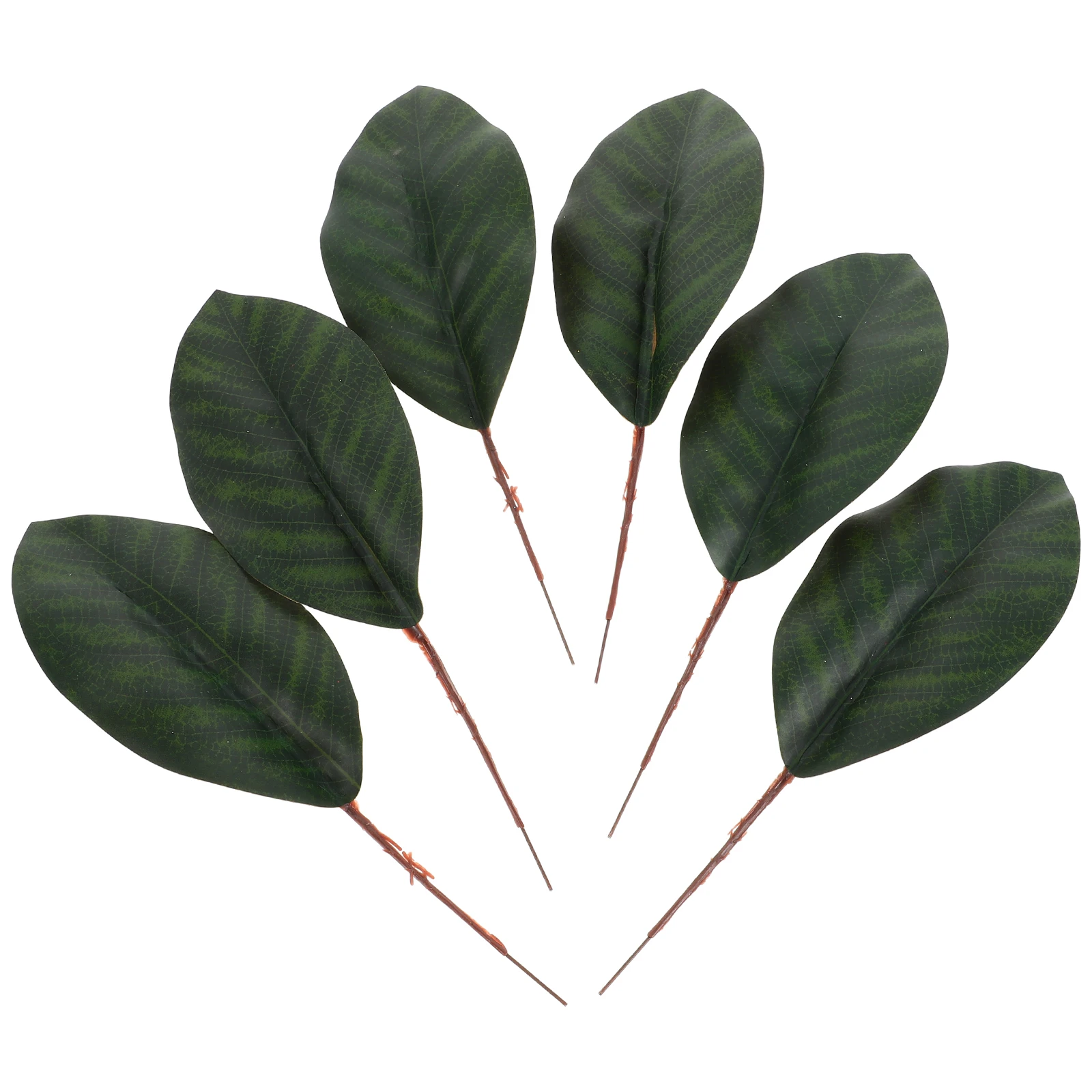 20 Pcs Stem Artificial Event Leaves Fake L Fern Courtyard Faux Floral Plant Garden Wedding Accessories
20 Pcs Stem Artificial Event Leaves Fake L Fern Courtyard Faux Floral Plant Garden Wedding Accessories
