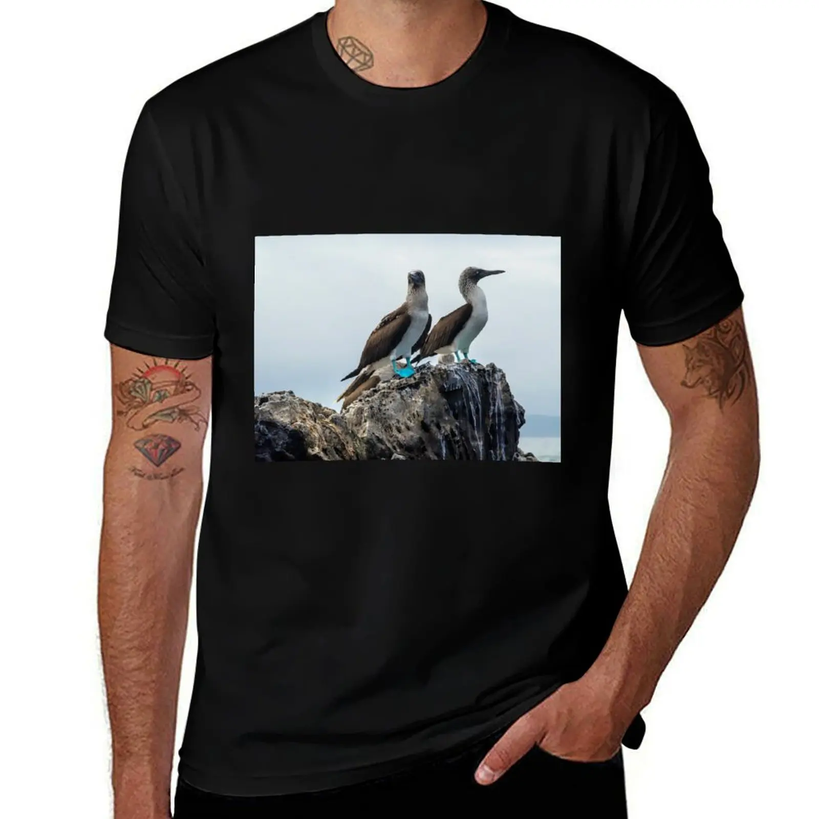Blue-footed Boobies T-Shirt tops shirts graphic tee blacks Clothing slim fit t shirts for men
Blue-footed Boobies T-Shirt tops shirts graphic tee blacks Clothing slim fit t shirts for men