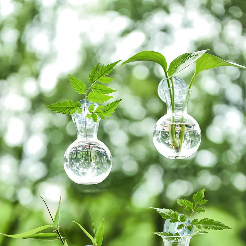 Ваза для размножения растений с присоской и подвесными крючками для мониторинга роста корней в воде в реальном времени
Ваза для размножения растений с присоской и подвесными крючками для мониторинга роста корней в воде в реальном времени