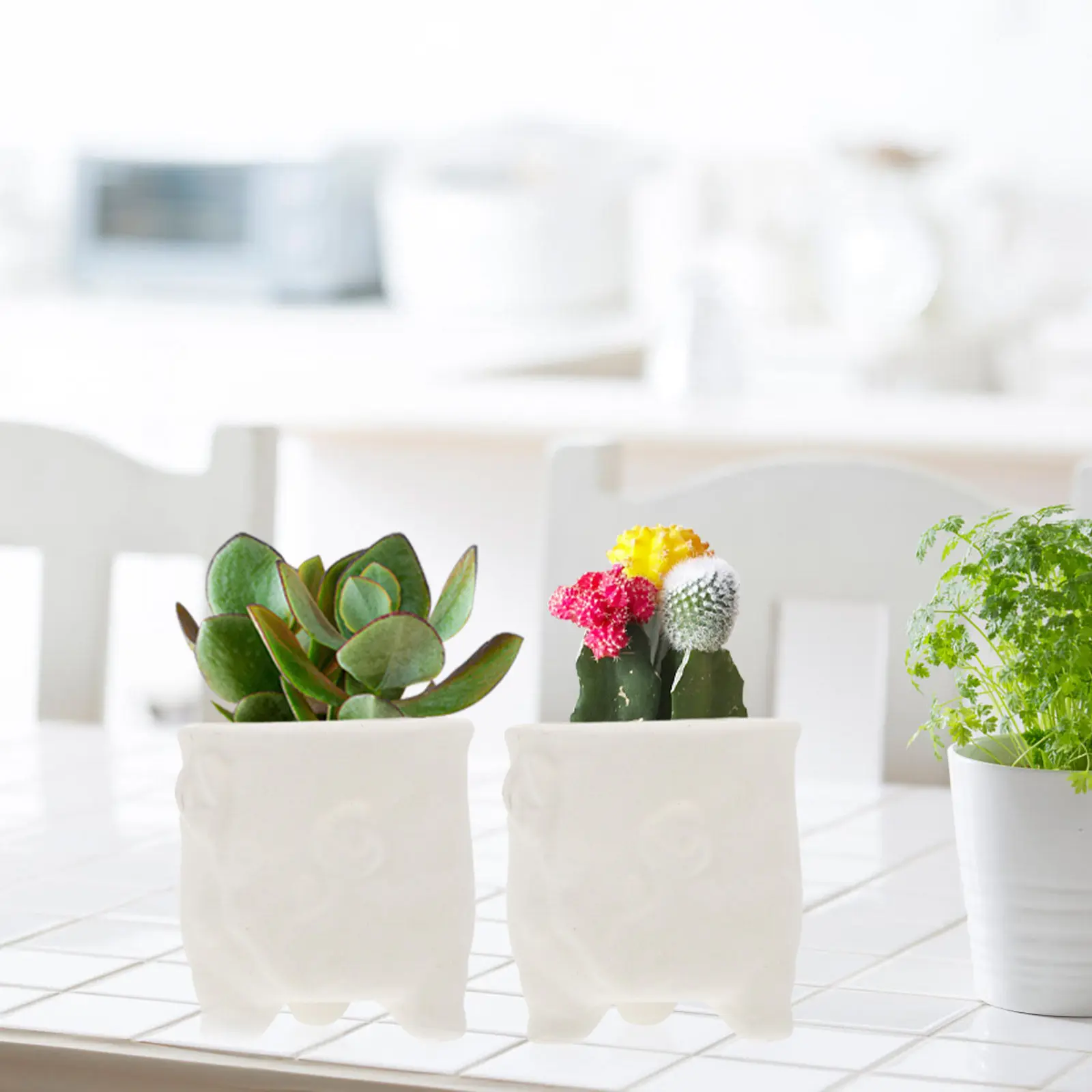2Pcs DIY Ceramic Flowerpots Paintable White Pots for Creative Graffiti Succulent Planters Kindergarten Art Supply Home
2Pcs DIY Ceramic Flowerpots Paintable White Pots for Creative Graffiti Succulent Planters Kindergarten Art Supply Home