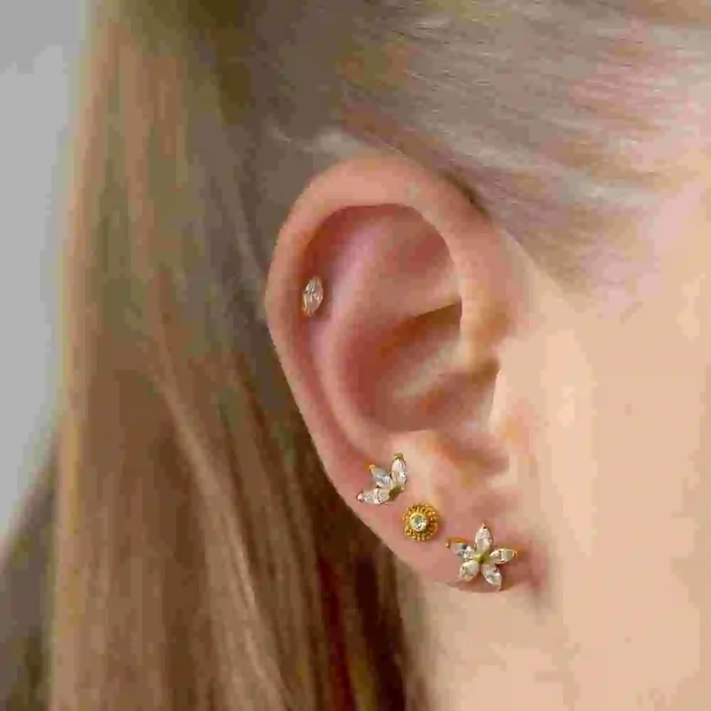 Lady Stainless Steel Elegant Flower Earring Women Light Luxury Ear Studs Jewelry Popular Gift
Lady Stainless Steel Elegant Flower Earring Women Light Luxury Ear Studs Jewelry Popular Gift