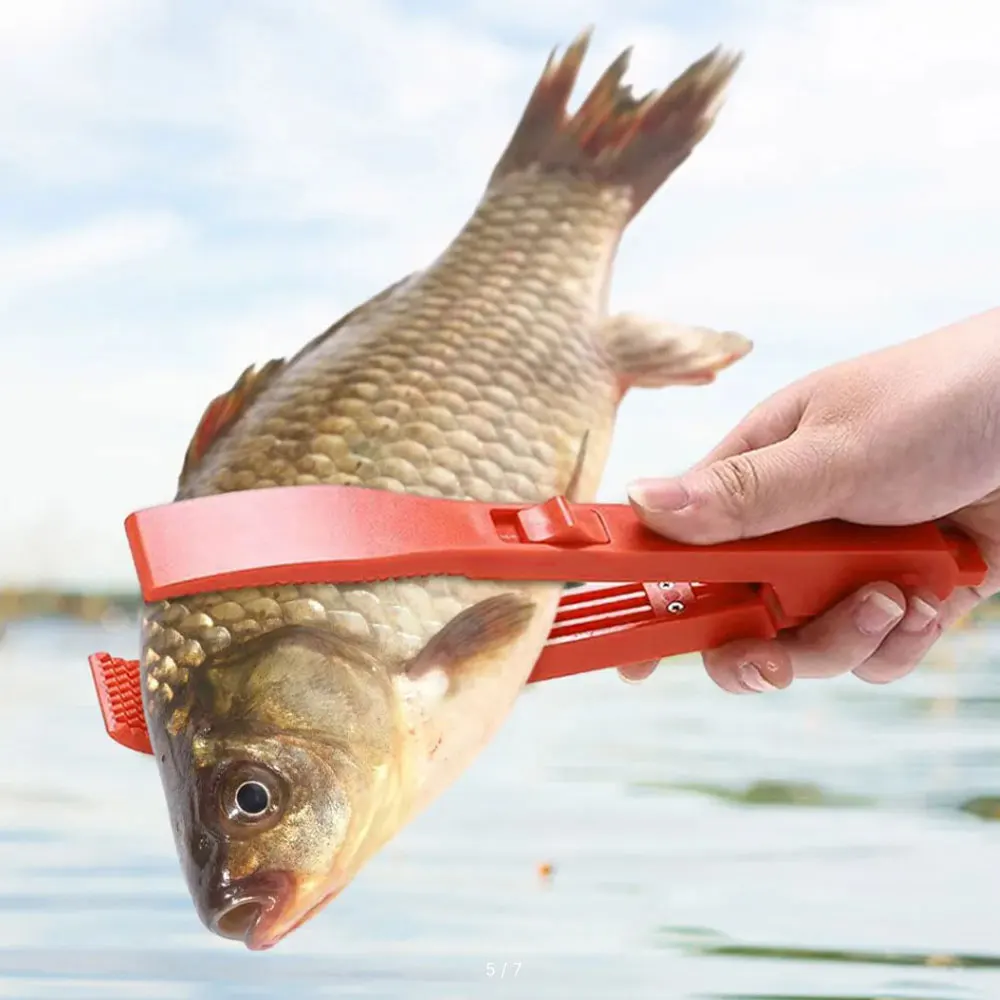 1x Multifunctional Fishing Fish Clip Hand Controller Tackle Tool Fishing Body Grip Clamp Gripper with Lock Switch
1x Multifunctional Fishing Fish Clip Hand Controller Tackle Tool Fishing Body Grip Clamp Gripper with Lock Switch