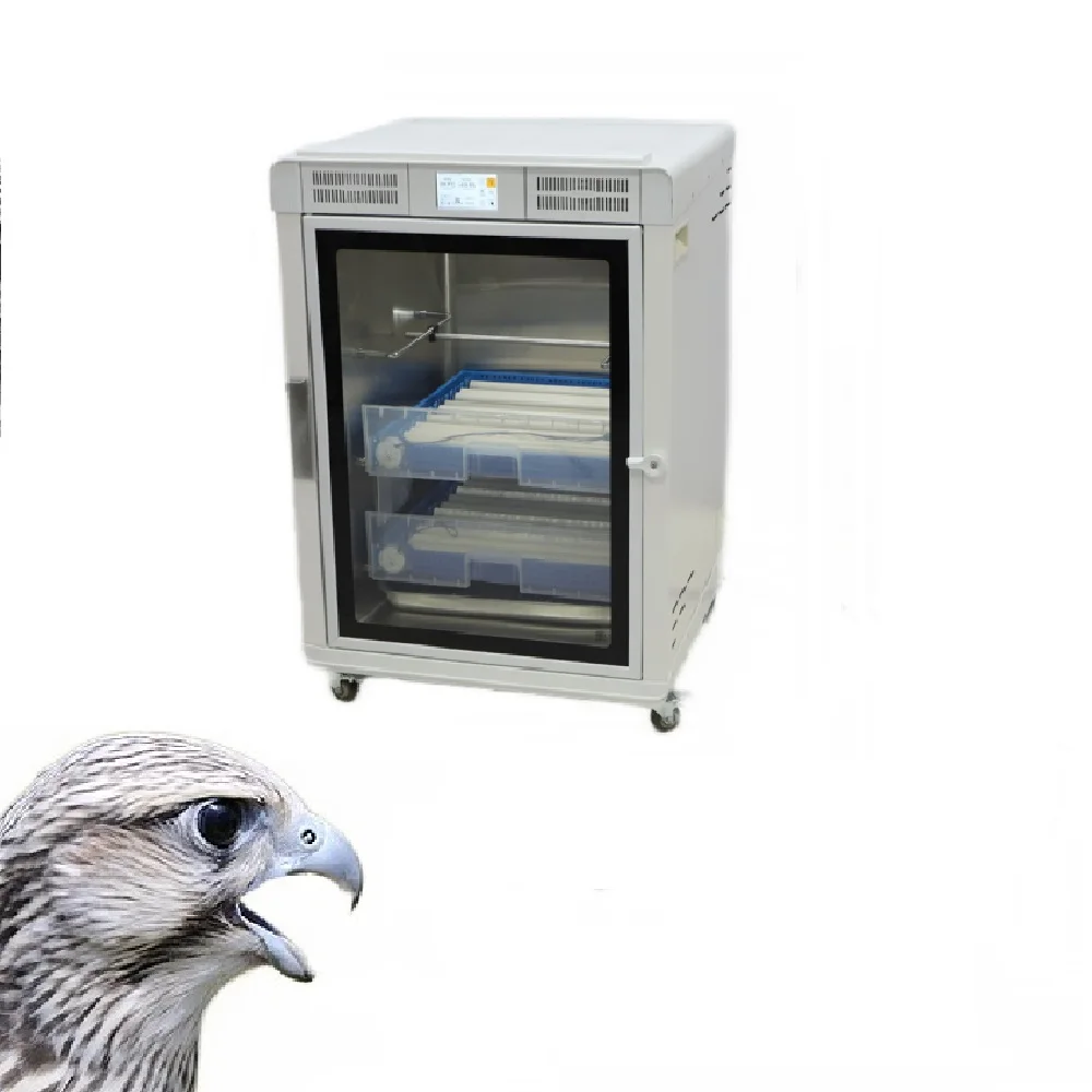 Quail Incubator Easy Settings Incubator Tray with Egg Turner Motor Bird Brooder 60 Egg Incubator Accessories
Quail Incubator Easy Settings Incubator Tray with Egg Turner Motor Bird Brooder 60 Egg Incubator Accessories