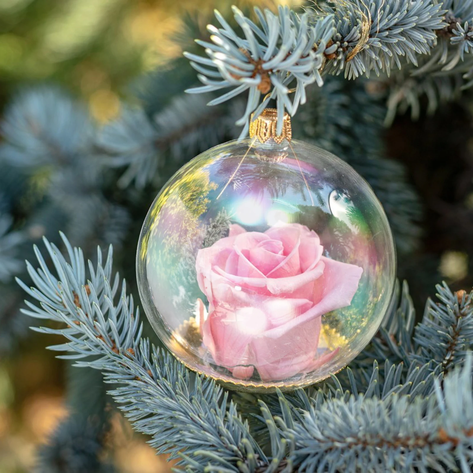 20Pcs Ball Decorations Versatile Xmas Tree Hanging Ornaments Christmas Balls Party Supplies Hanging Decoration
20Pcs Ball Decorations Versatile Xmas Tree Hanging Ornaments Christmas Balls Party Supplies Hanging Decoration