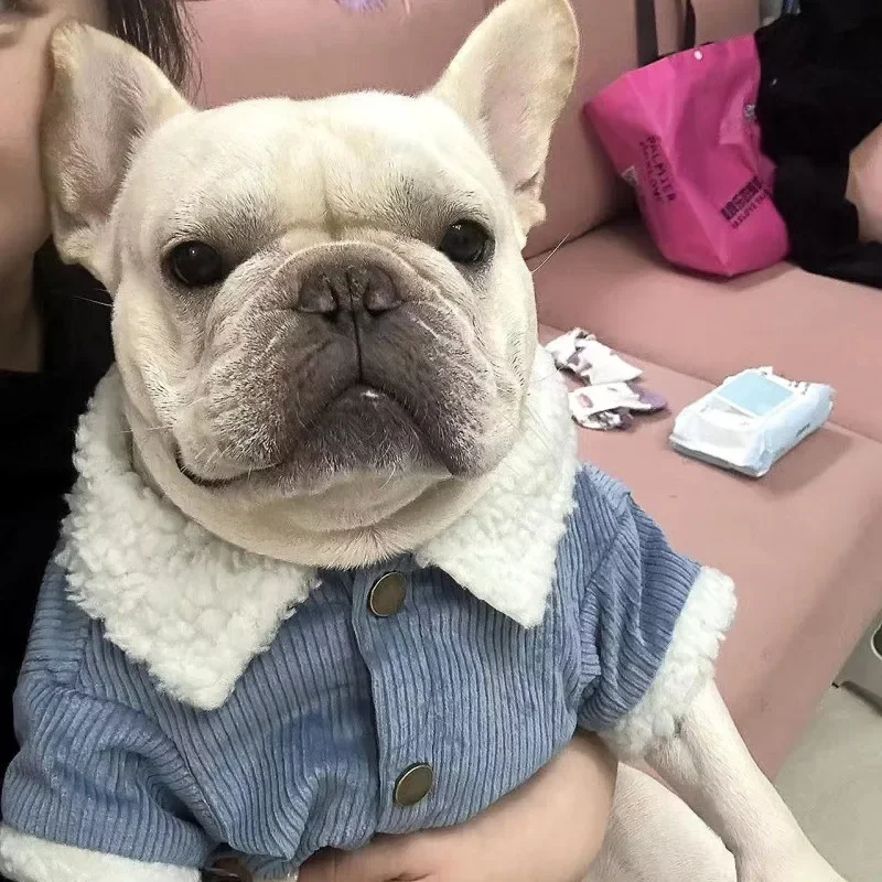 Pug Dog Clothes Coat Jacket Winter Pet Apparel Outfit Garment French Bulldog Clothing Dropshipping Frenchies Dog Costume
Pug Dog Clothes Coat Jacket Winter Pet Apparel Outfit Garment French Bulldog Clothing Dropshipping Frenchies Dog Costume