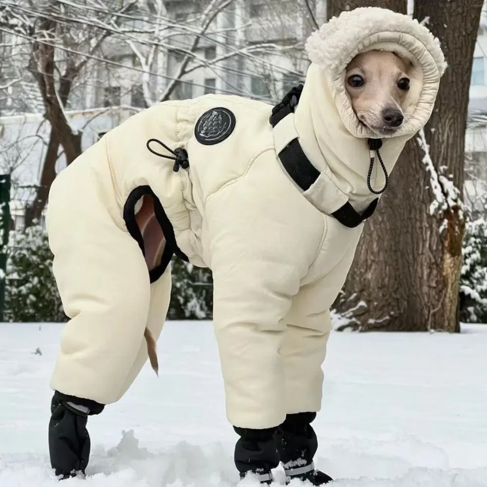 Trendy Waterproof Winter Dog Jumpsuit Thickened Full Cover Winter Dog Jacket Fleece Warm Big Pet Outfits Greyhound Whippet
Trendy Waterproof Winter Dog Jumpsuit Thickened Full Cover Winter Dog Jacket Fleece Warm Big Pet Outfits Greyhound Whippet