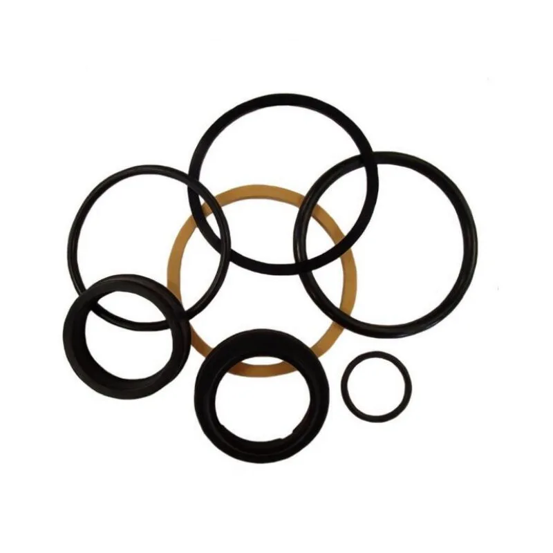 Hydraulic Cylinder Seal Kit D61006 for Skid Steer Loader 1835 1835B 1845C 1845S
Hydraulic Cylinder Seal Kit D61006 for Skid Steer Loader 1835 1835B 1845C 1845S