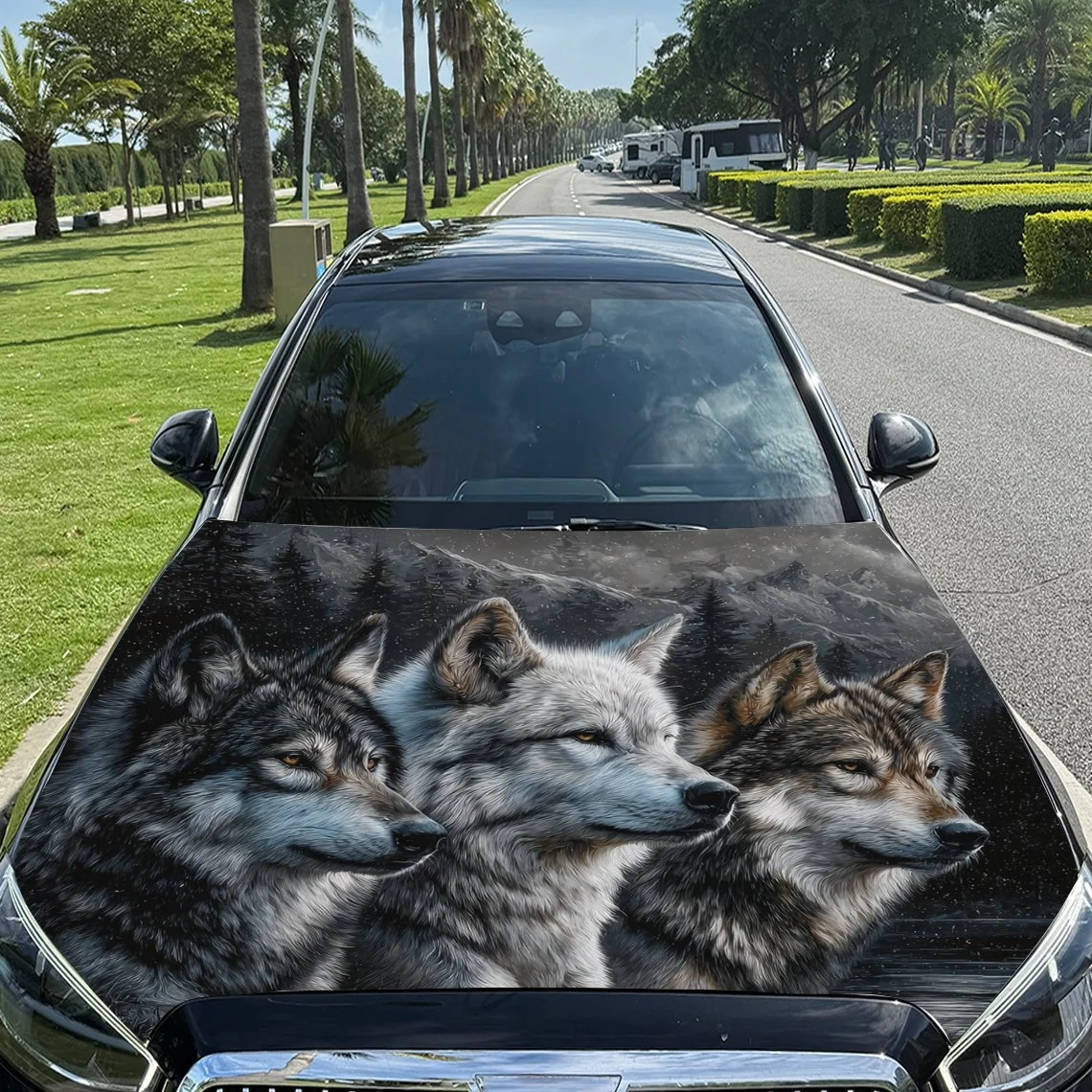 Car hood wrap featuring three wolves in a snowy forest, showcasing strength and unity. Perfect for nature lovers!
Car hood wrap featuring three wolves in a snowy forest, showcasing strength and unity. Perfect for nature lovers!