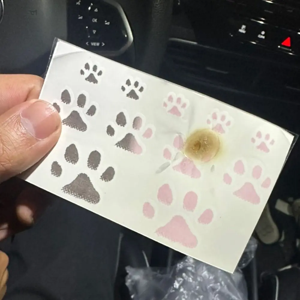Thermal Color Changing Cat Paw Temporary Tattoos Waterproof INS Style Temperature Sensitive Stickers Temporary Tattoos Gifts
Thermal Color Changing Cat Paw Temporary Tattoos Waterproof INS Style Temperature Sensitive Stickers Temporary Tattoos Gifts