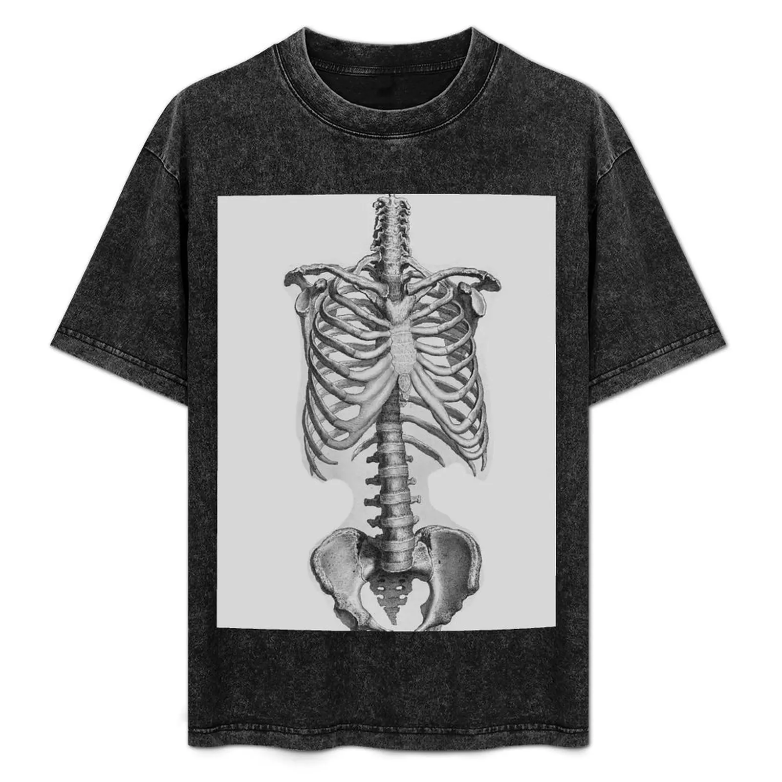 human skeleton poster human skeleton doctor chamber poster T-Shirt Large Size Casual Tee Shirt
human skeleton poster human skeleton doctor chamber poster T-Shirt Large Size Casual Tee Shirt