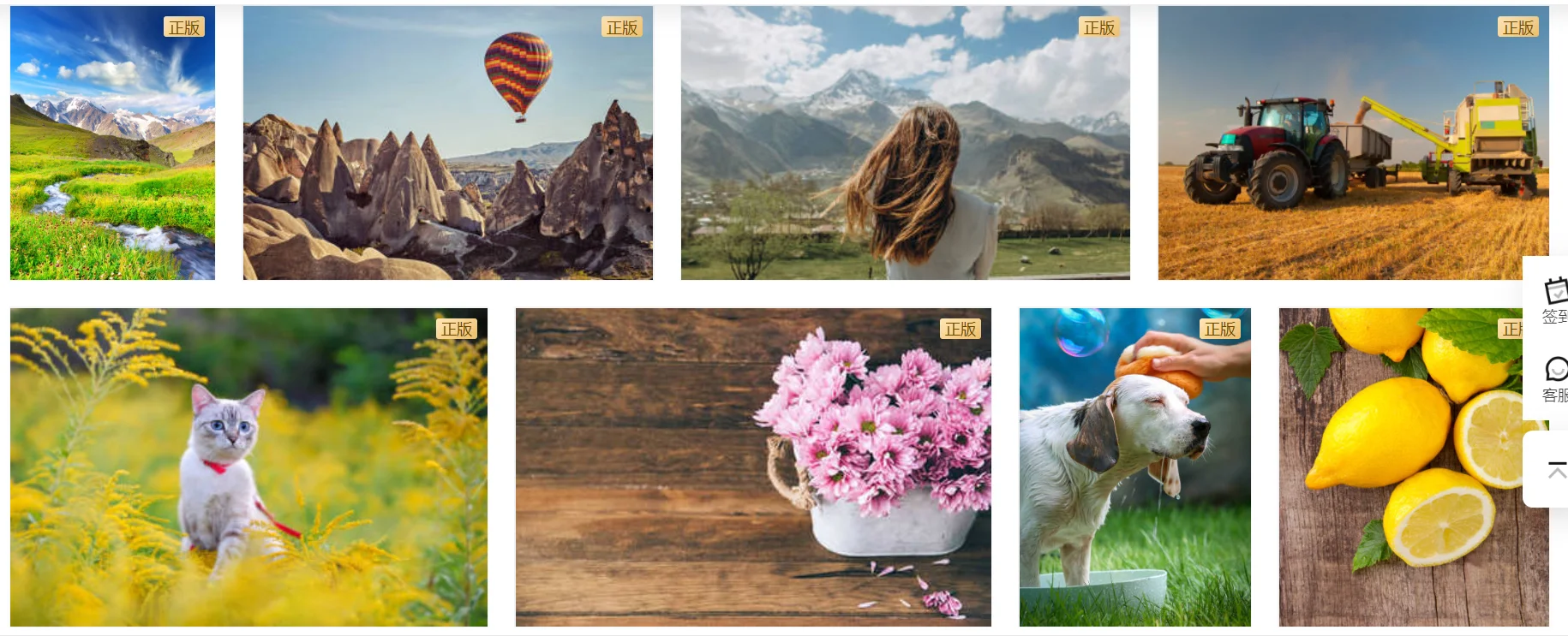 FOR RC cars 4WD All Terrain Cross Country Car RC Water Land Amphibious 2.4G Toy Remote Control Car Kids Gift Fine Product
FOR RC cars 4WD All Terrain Cross Country Car RC Water Land Amphibious 2.4G Toy Remote Control Car Kids Gift Fine Product