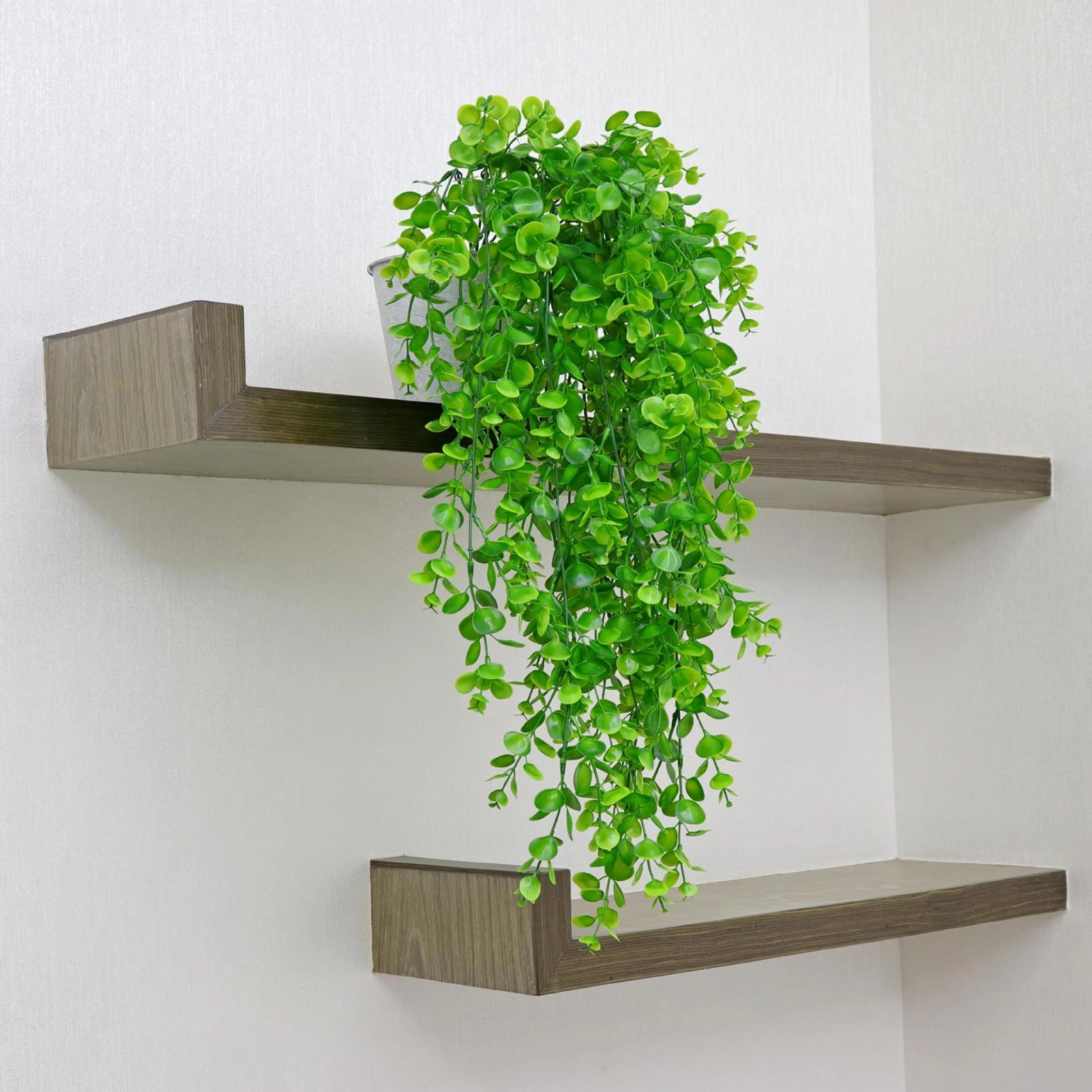 4Pcs Simulation Eucalyptus Vine, Artificial Green Leaves, Hanging Plant Vines, Wall Hanging Decoration for Home 
4Pcs Simulation Eucalyptus Vine, Artificial Green Leaves, Hanging Plant Vines, Wall Hanging Decoration for Home