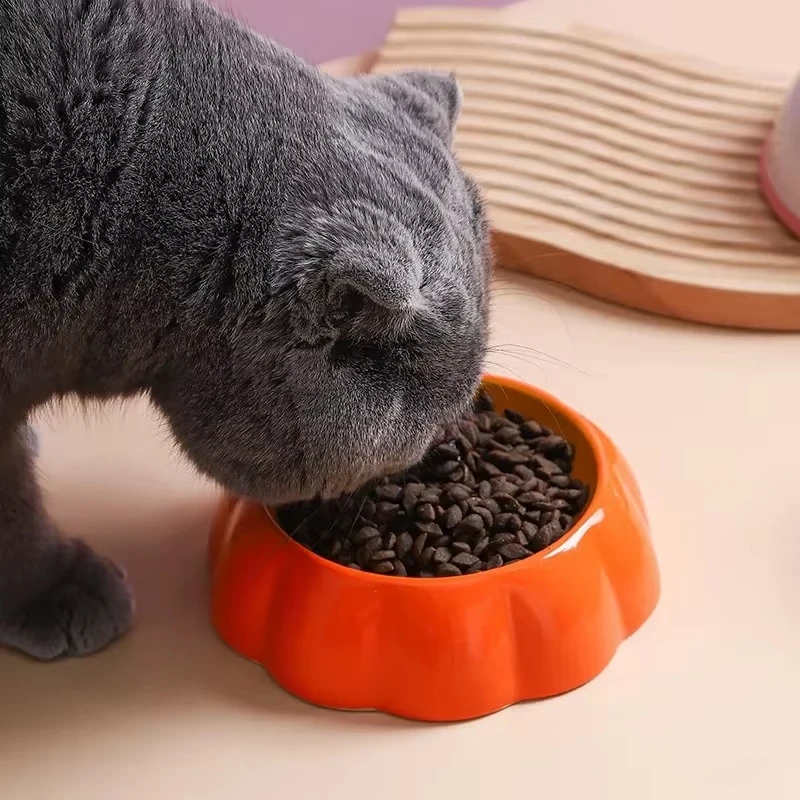 Cute Designs Pet Ceramics Bowl Watermelon Strawberry Shape Cat Food Bowl Colorful Water Supplies for Cat and Small Dog
Cute Designs Pet Ceramics Bowl Watermelon Strawberry Shape Cat Food Bowl Colorful Water Supplies for Cat and Small Dog
