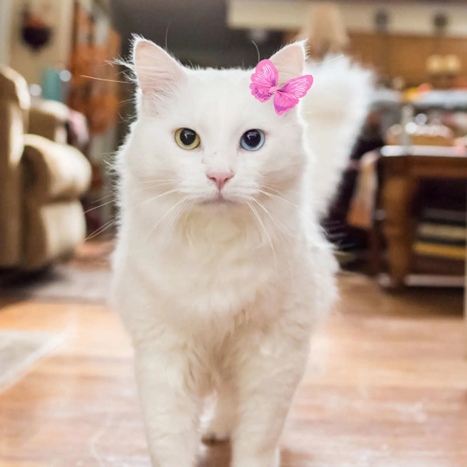 Pet Accessories Dog Hair Tie Puppy Party Decoration Bows for Dogs Decorative Cat Ribbons
Pet Accessories Dog Hair Tie Puppy Party Decoration Bows for Dogs Decorative Cat Ribbons