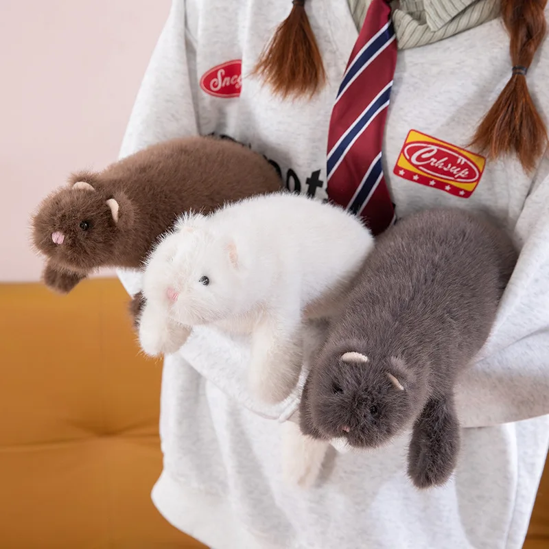 50 см милая имитация животного с хорьком, детская плюшевая декомпрессионная игрушка, мягкий детский подарок на день рождения, кавайное украшение комнаты
50 см милая имитация животного с хорьком, детская плюшевая декомпрессионная игрушка, мягкий детский подарок на день рождения, кавайное украшение комнаты