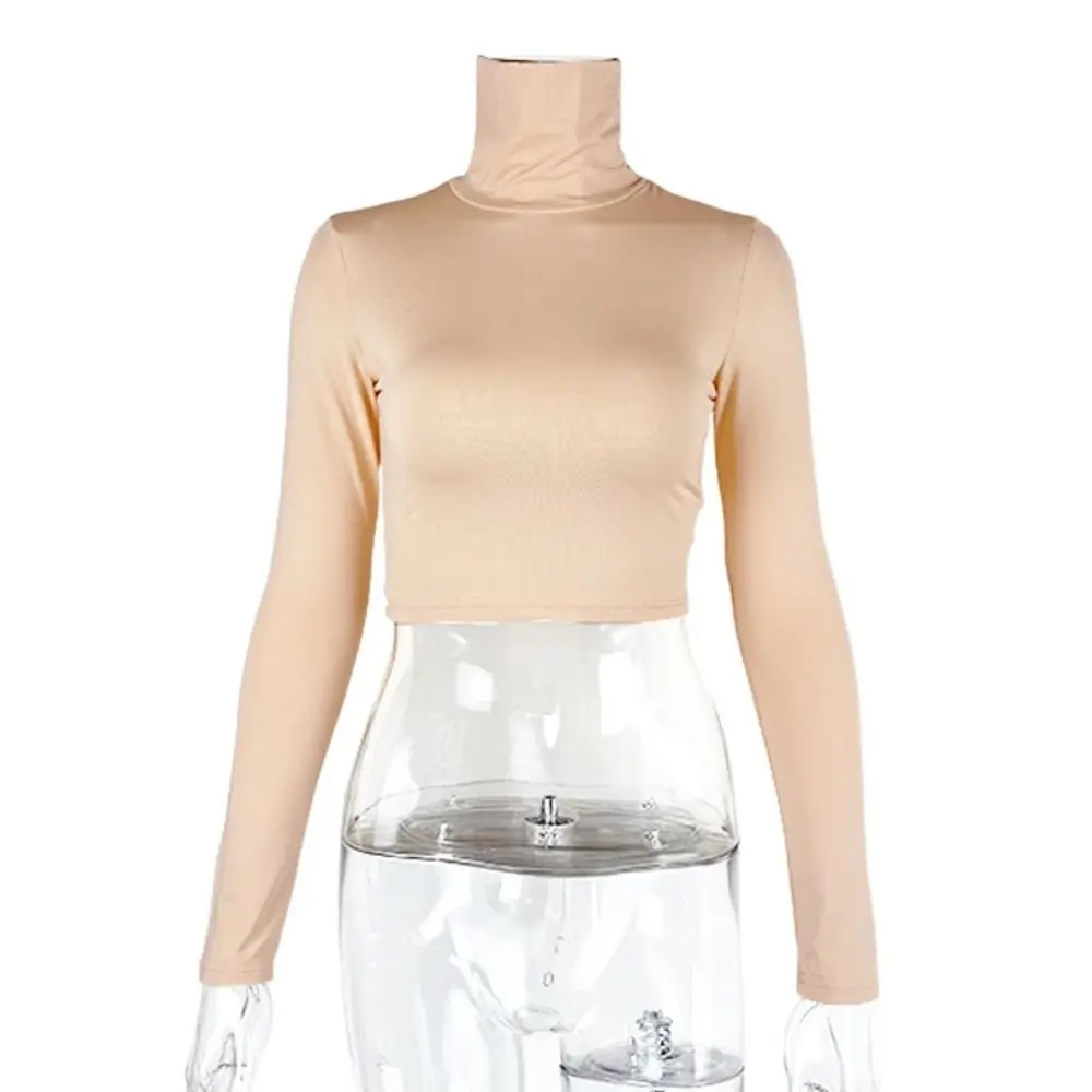 Stylish Y2k Long Sleeve T-shirt Slim Fit Pullover High Collar Crop Tops Korean Style Chic Bottoming Shirt Women Female
Stylish Y2k Long Sleeve T-shirt Slim Fit Pullover High Collar Crop Tops Korean Style Chic Bottoming Shirt Women Female