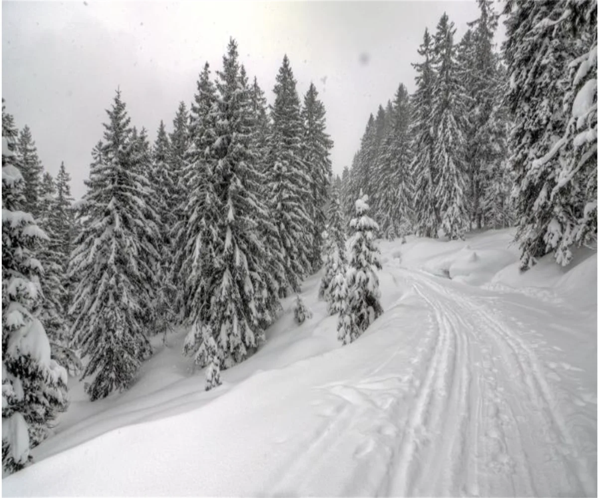 Snow Landscape 3D Wallpaper Custom Size White Frost Forest Mural City Corridor Tree Landscape Decorative Painting Forest murals
Snow Landscape 3D Wallpaper Custom Size White Frost Forest Mural City Corridor Tree Landscape Decorative Painting Forest murals