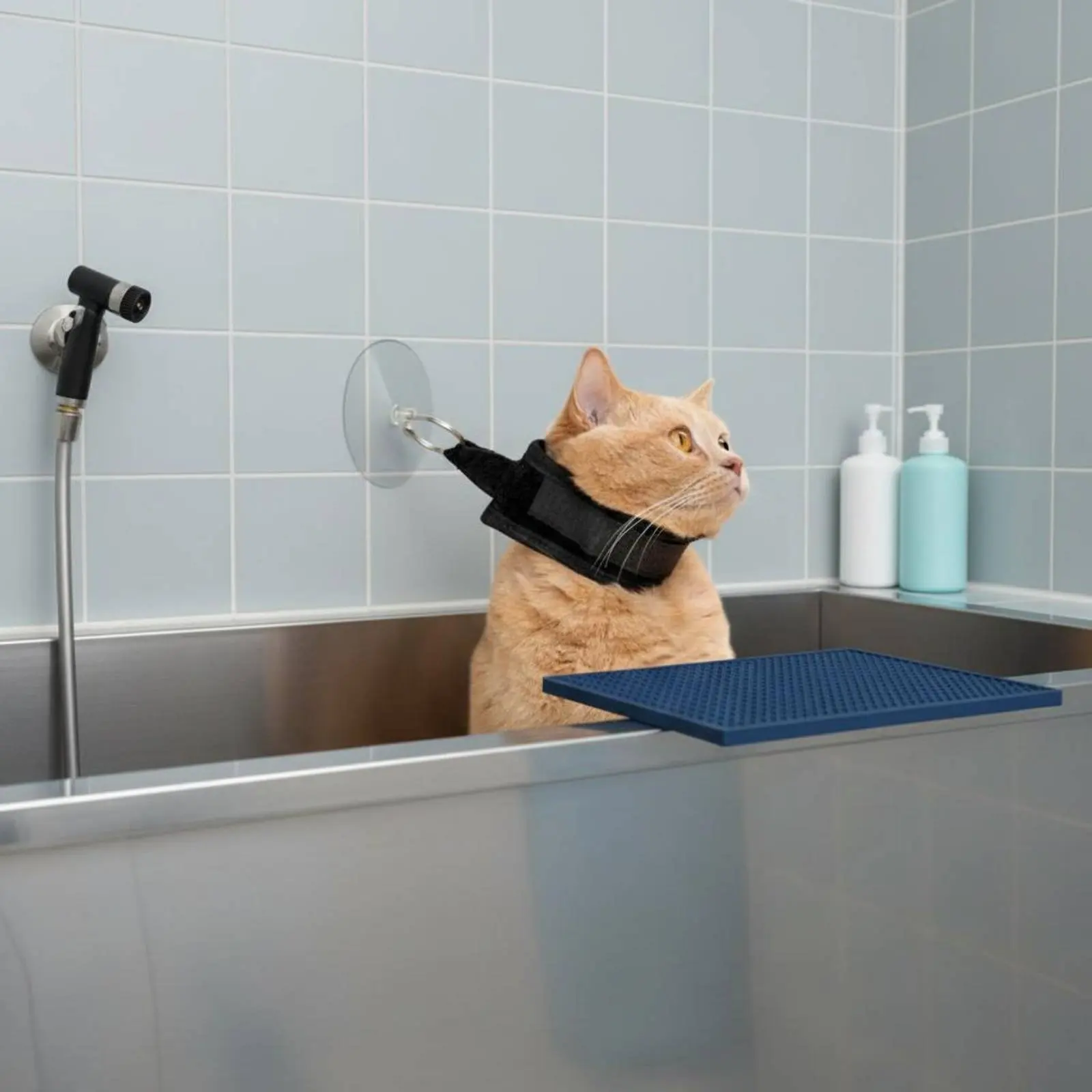 Suction Holder Pet Restraint Hands-Unrestricted Grooming Loop with Suction Holder for Bathroom
Suction Holder Pet Restraint Hands-Unrestricted Grooming Loop with Suction Holder for Bathroom