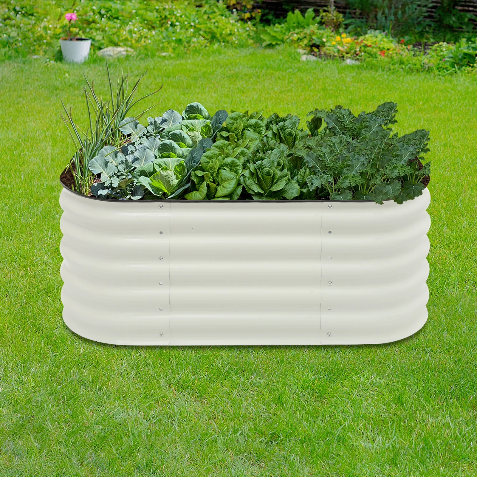 6-in-1 Modular Metal Raised Garden Bed Kit, Elevated Planter Box for Vegetables Herbs Flowers, White Outdoor Garden Planter
6-in-1 Modular Metal Raised Garden Bed Kit, Elevated Planter Box for Vegetables Herbs Flowers, White Outdoor Garden Planter