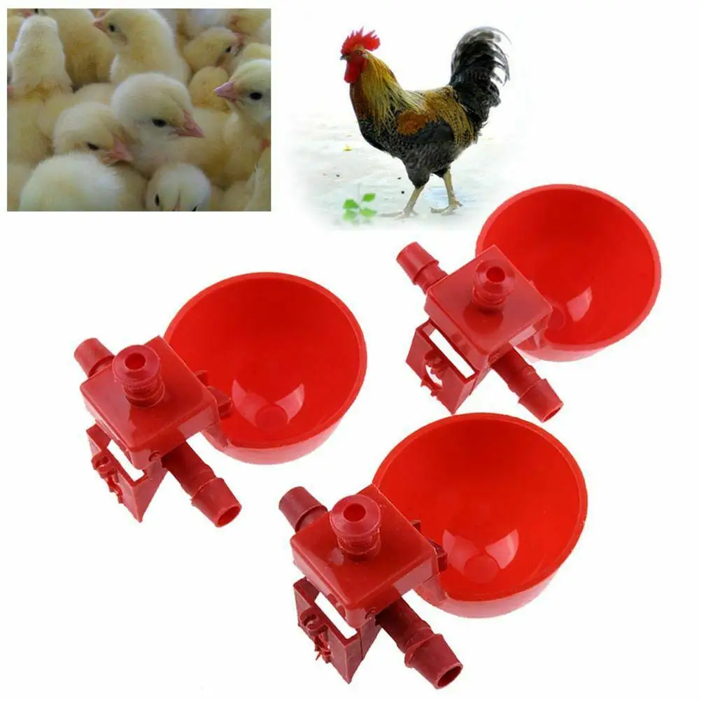 20pcs Chick Cups Quail Drinker for Pigeon Drinker Chicken Poultry Water Drinking Cups Pigeon Quail Pets Use
20pcs Chick Cups Quail Drinker for Pigeon Drinker Chicken Poultry Water Drinking Cups Pigeon Quail Pets Use