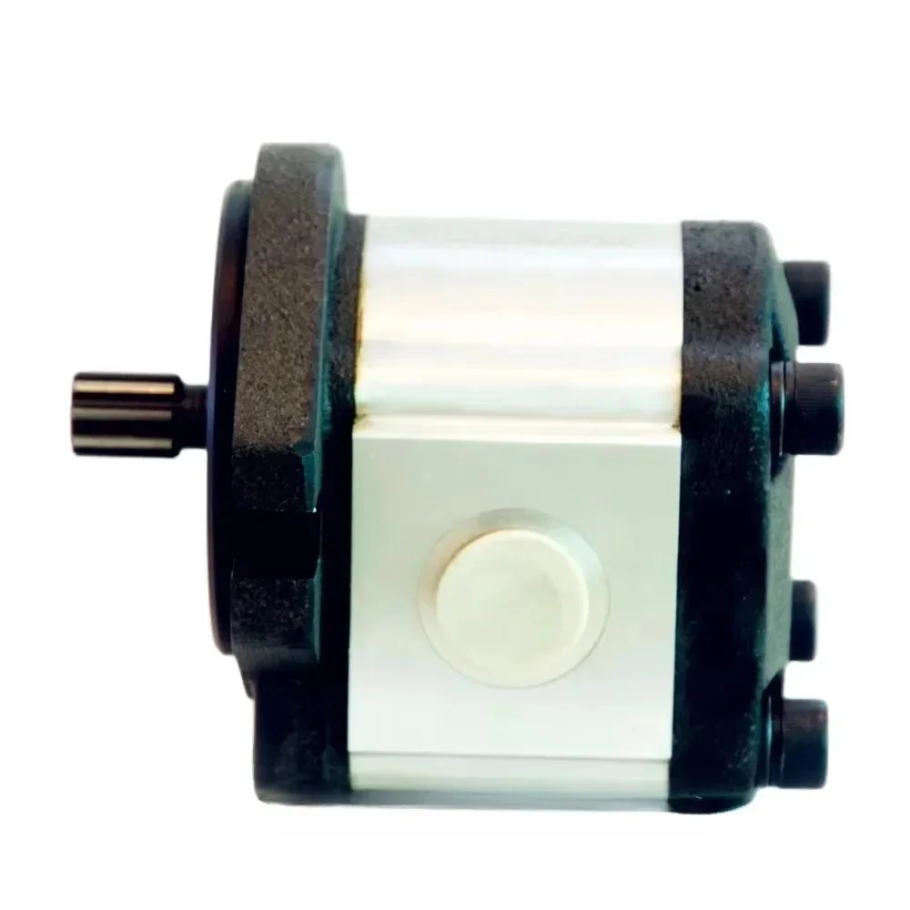 Professional Production Of Cost-Effective Elevator Acssories Electric Gear Pumps
Professional Production Of Cost-Effective Elevator Acssories Electric Gear Pumps