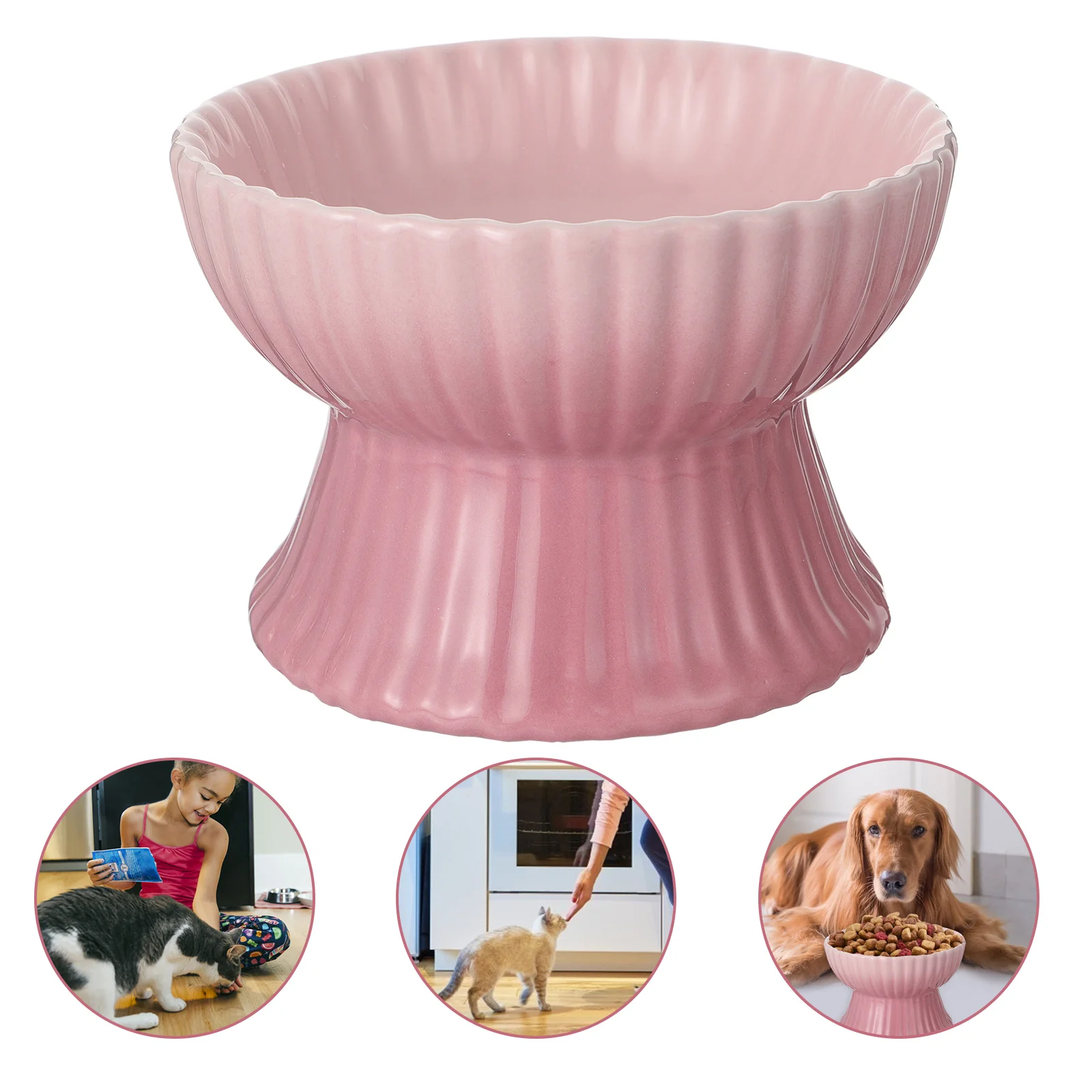 Raised Pet Cat Kitten Dog Puppy Food Bowl Elevated Feeding Water Dish Durable Ceramic Easy Clean Long Lasting Cat Bowl
Raised Pet Cat Kitten Dog Puppy Food Bowl Elevated Feeding Water Dish Durable Ceramic Easy Clean Long Lasting Cat Bowl
