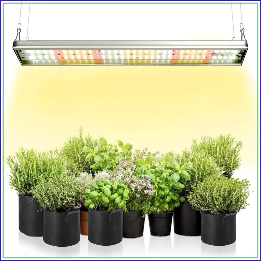 Upgraded Full Spectrum LED Grow Light 5000K 3000K + 660nm Red for Indoor Plants Seed Starting Succulents Vegetable
Upgraded Full Spectrum LED Grow Light 5000K 3000K + 660nm Red for Indoor Plants Seed Starting Succulents Vegetable