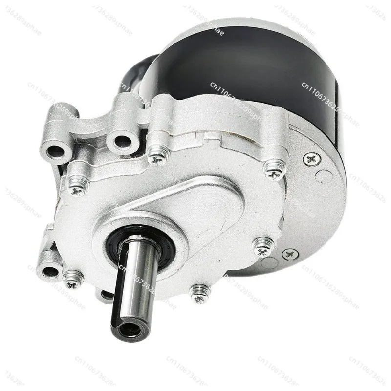 24V250W 1016Z Electric Wheelchair Secondary Deceleration DC Brushed Motor
24V250W 1016Z Electric Wheelchair Secondary Deceleration DC Brushed Motor