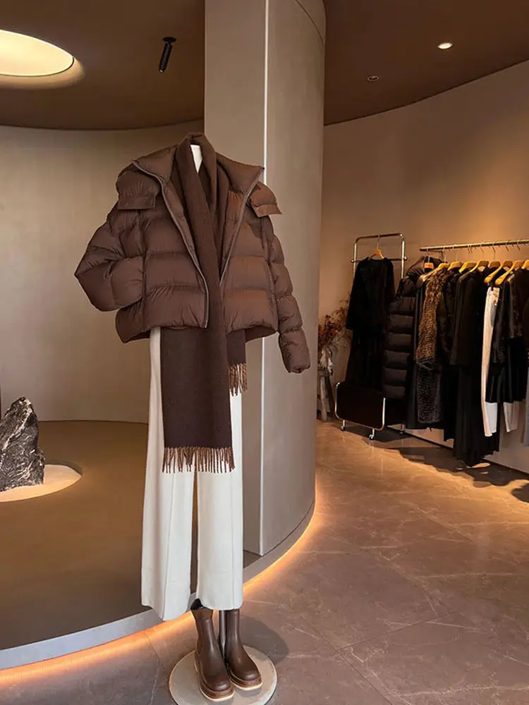Уникальная коричневая женская зимняя куртка в корейском стиле, высококачественный дизайн, верхняя одежда из полиэфирного волокна для женщин
Уникальная коричневая женская зимняя куртка в корейском стиле, высококачественный дизайн, верхняя одежда из полиэфирного волокна для женщин