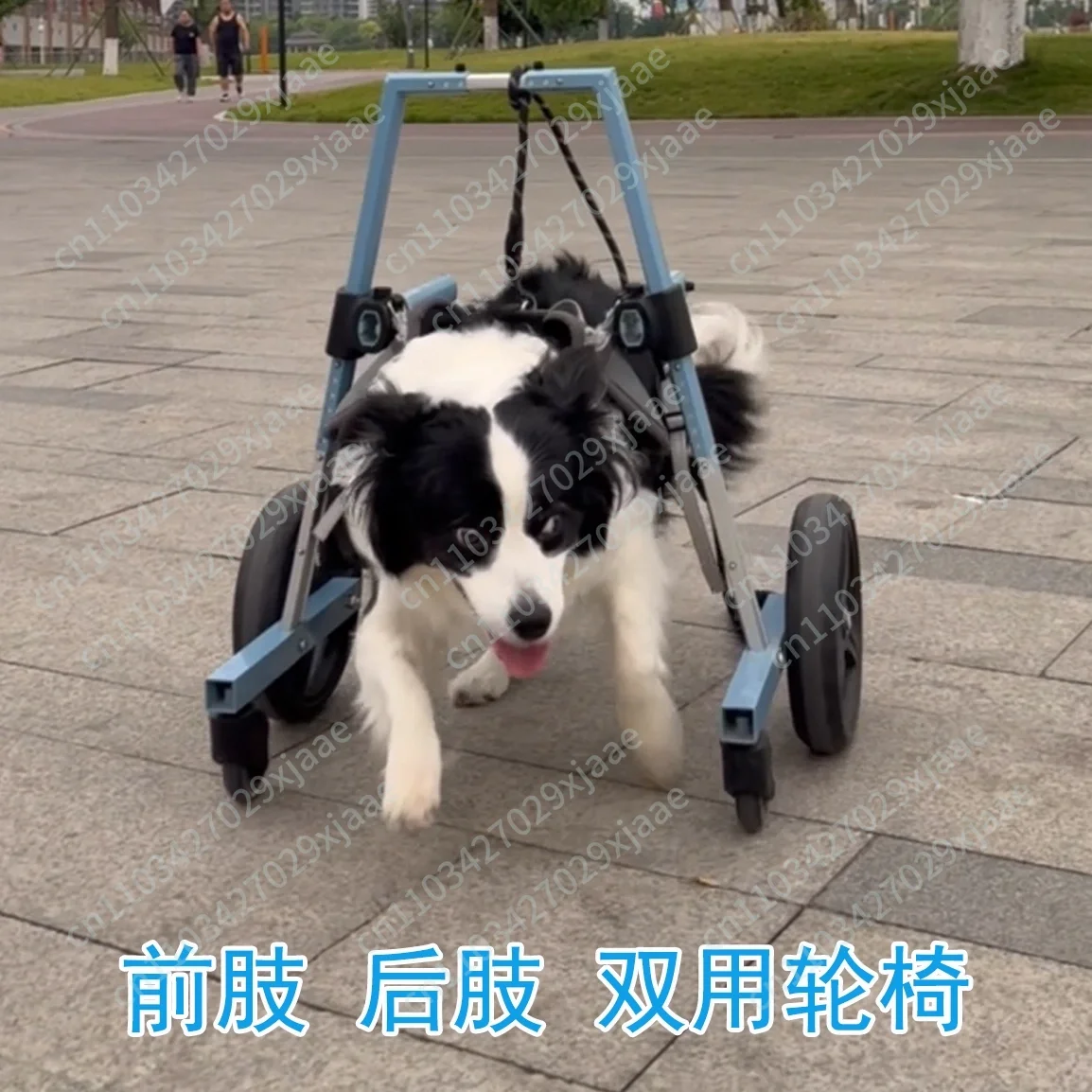 Pet Front Limb Wheelchair Dog Auxiliary Walking Device Hind Leg Standing Bracket
Pet Front Limb Wheelchair Dog Auxiliary Walking Device Hind Leg Standing Bracket