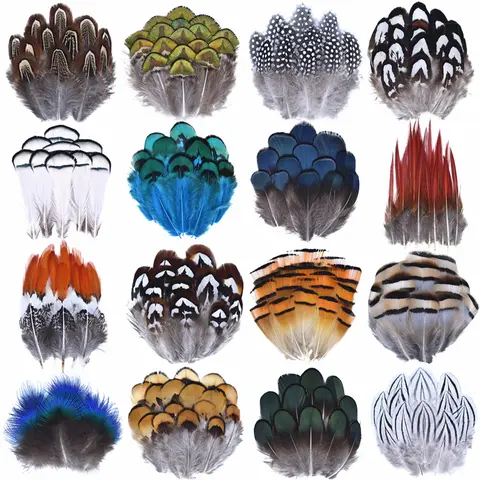 Wholesale Natural Peacock Pheasant Feathers Small Eagle Chicken Plumes Ostrich Decor DIY Handicraft Accessories Jewelry Creation
