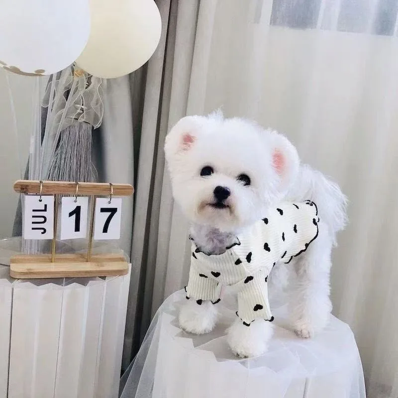 ZUJOLY Autumn Winter Pet Undercoat Dog Clothes Cute Heart Print Waffle Home Vest Dog Cat New Year Christmas
ZUJOLY Autumn Winter Pet Undercoat Dog Clothes Cute Heart Print Waffle Home Vest Dog Cat New Year Christmas