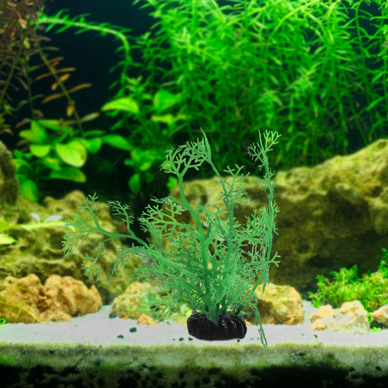 1Set Fish Tank Decoration Set Fake Water Plants Aquarium Rockery Statues Natural Underwater Plant Decor Fish Tank Accessories
1Set Fish Tank Decoration Set Fake Water Plants Aquarium Rockery Statues Natural Underwater Plant Decor Fish Tank Accessories
