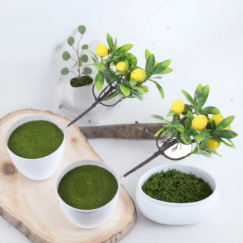 2Pcs Fake Potted Lemon Tree Artificial Plants Realistic Bright Colors for Kitchen Dining Room Office Decoration
2Pcs Fake Potted Lemon Tree Artificial Plants Realistic Bright Colors for Kitchen Dining Room Office Decoration