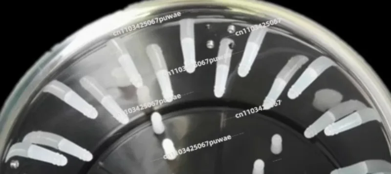 Stainless Steel Quail Plucking Machine Mini Small Bird Depilator Home Commercial Poultry Feather Removal Machine
Stainless Steel Quail Plucking Machine Mini Small Bird Depilator Home Commercial Poultry Feather Removal Machine